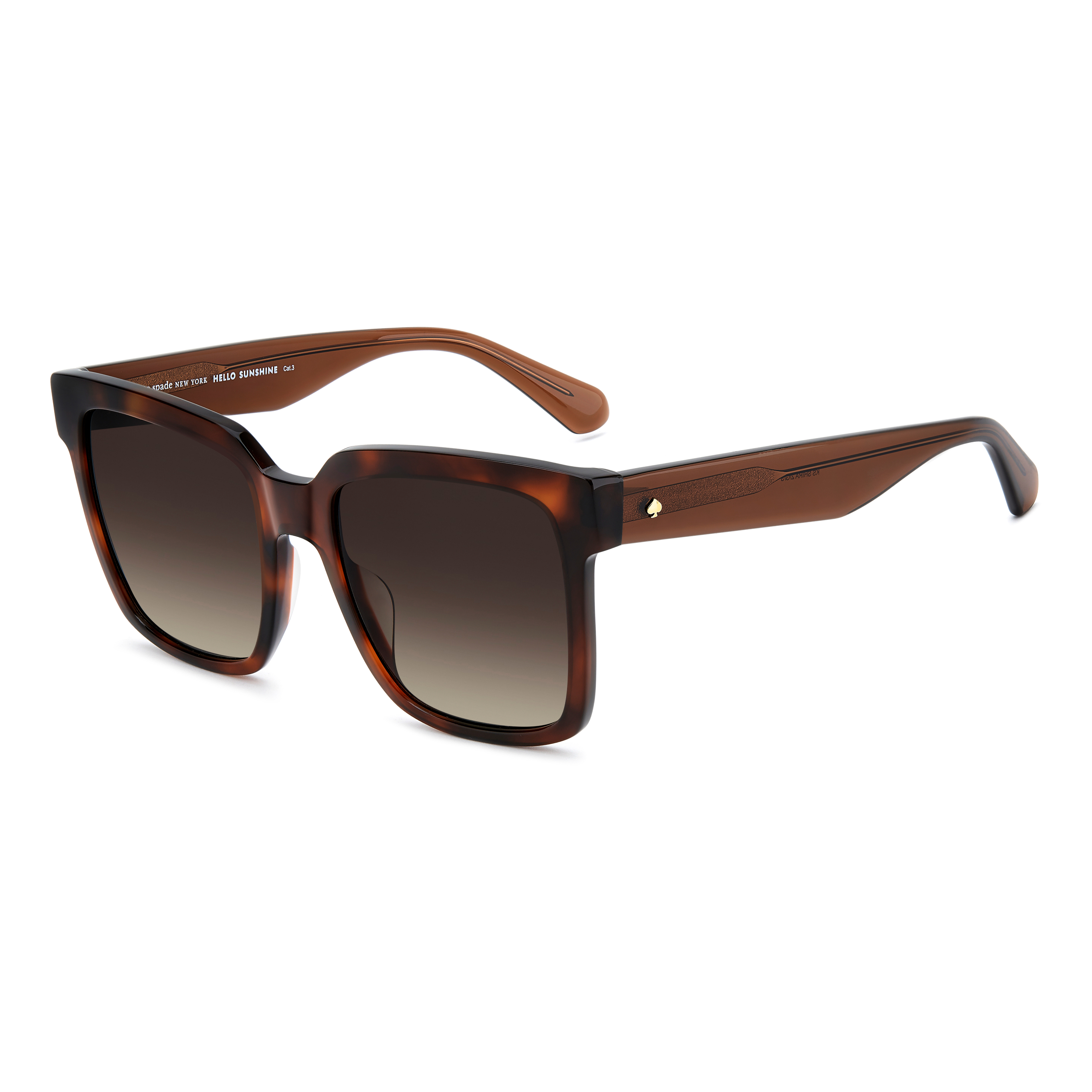 Product 53736 KEP3USAACVOQDFYIBMCBINIAACLEAAAB image